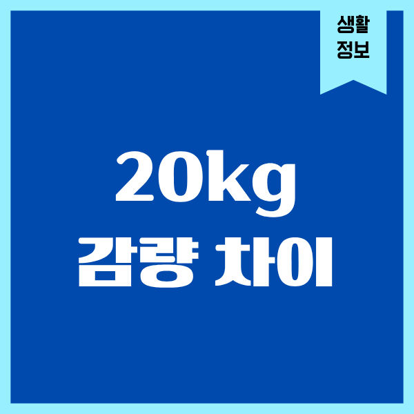 20kg 감량 차이, 진짜 인생이 바뀌더라
