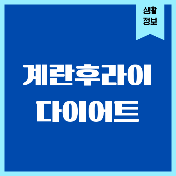 계란후라이 다이어트, 내가 직접 해본 현실적인 이야기