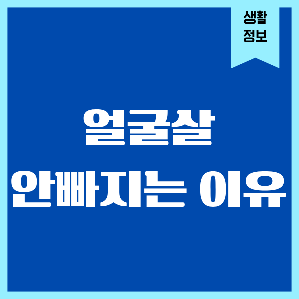 얼굴살 안빠지는 이유, 제가 겪은 리얼한 이야기