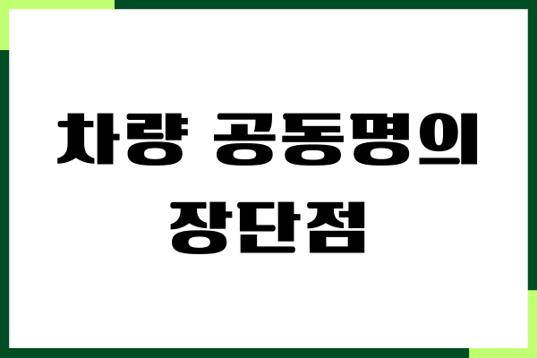 차량 공동명의 장단점, 99대 1, 주의사항