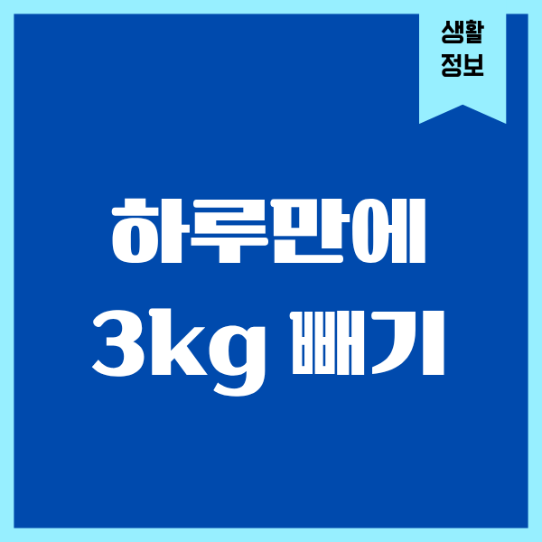하루만에 3kg 빼기, 진짜 될까 리얼 후기