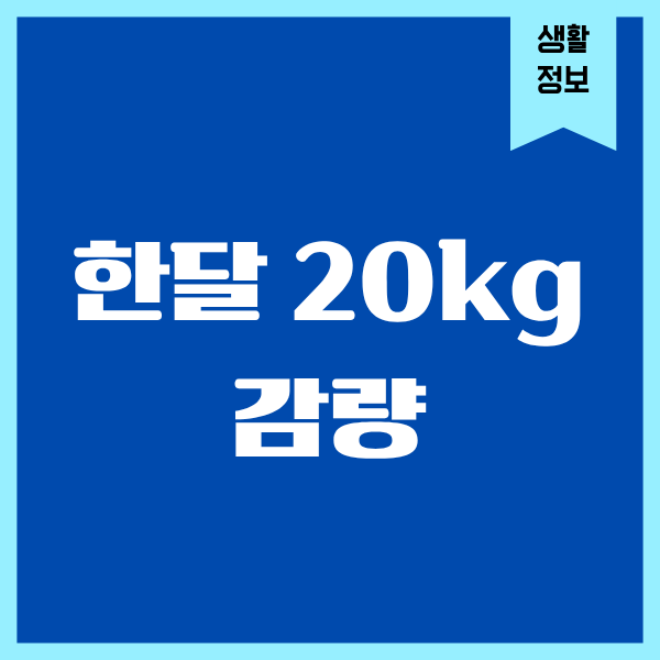 한달 20kg 감량, 진짜 가능할까 직접 겪어봤어요
