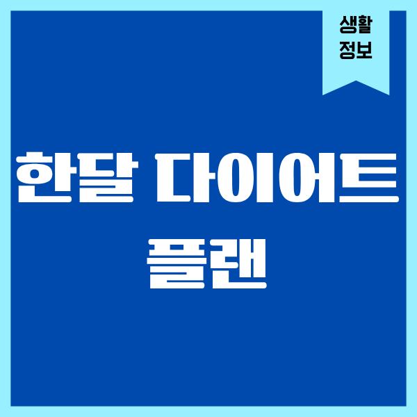 한달 다이어트 플랜, 40대 진짜 현실 후기