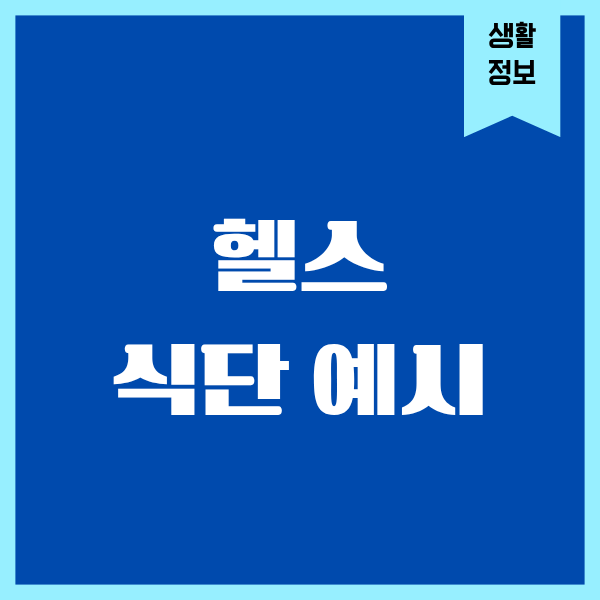 헬스 식단 예시, 실제로 먹었던 현실적인 식단 공유